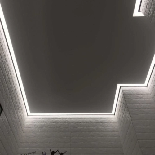 Контурный потолок